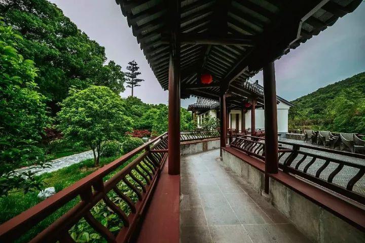 淘气兔救援